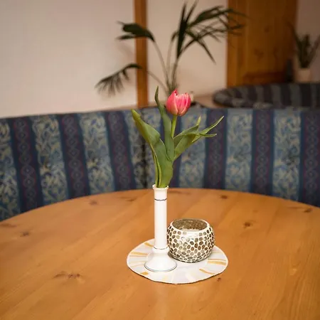 Knoll 4* Шёрфлинг