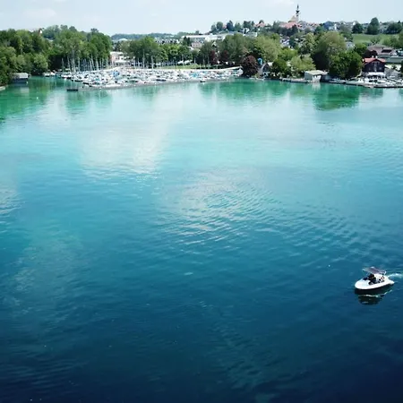 Knoll Шёрфлинг