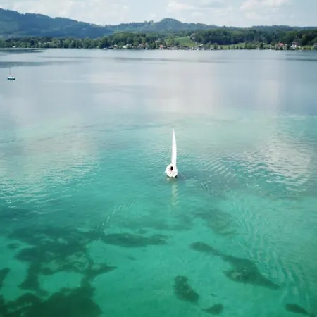 Knoll 4* Шёрфлинг